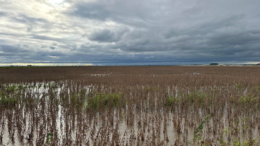 Las inundaciones en Uruguay dejan más de 2.000 desplazados y plantaciones afectadas