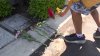 Muere menor de 13 años tras disparo con arma encontrada en casa de un amigo en Irvine